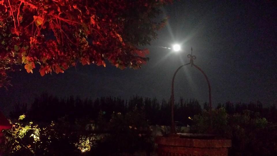 فيلا Massa Lombardaفي Agriturismo Ferretti المظهر الخارجي الصورة