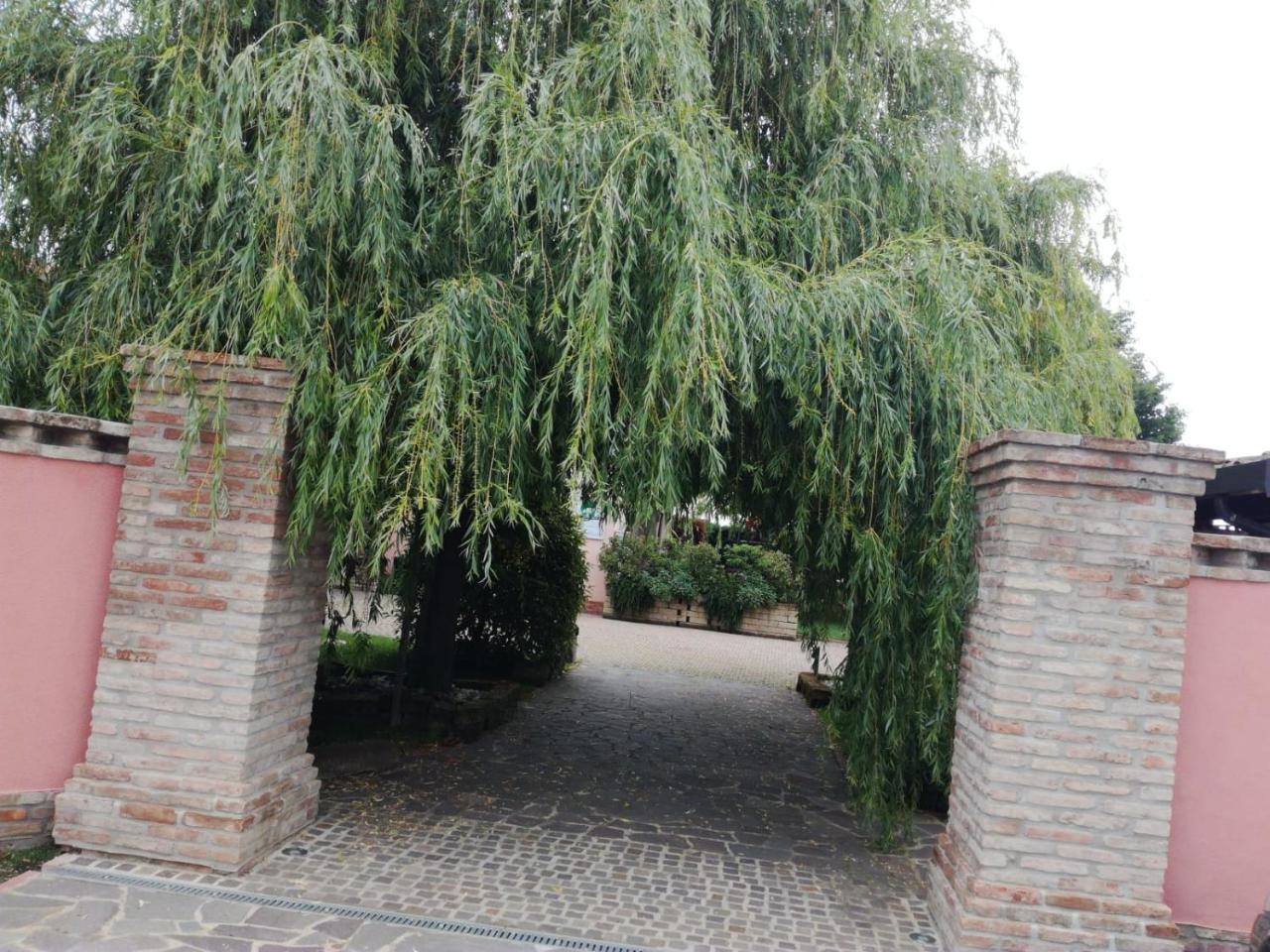 فيلا Massa Lombardaفي Agriturismo Ferretti المظهر الخارجي الصورة